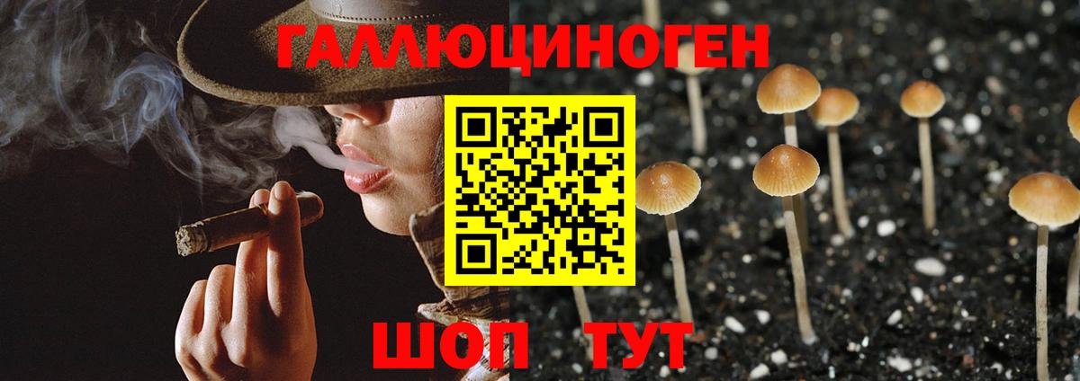 Красноярск  Cocaine  МАРИХУАНА  А ПВП СК кристаллы  MDMA  Вход с VPN  ГАШ  МЕФ кристаллы 